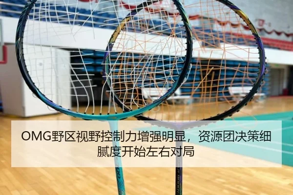 OMG野区视野控制力增强明显，资源团决策细腻度开始左右对局